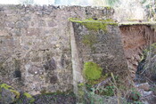 IMG_7909.jpg