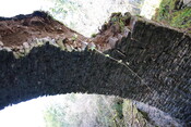 IMG_7941.jpg