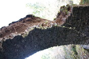IMG_7945.jpg