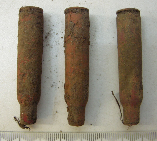 CHAI_small_bullets.jpg