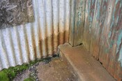 _DSC7341.jpg