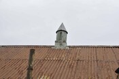 _DSC7342.jpg