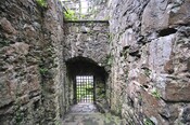 _DSC7607.jpg