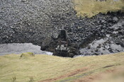 _DSC3429.jpg
