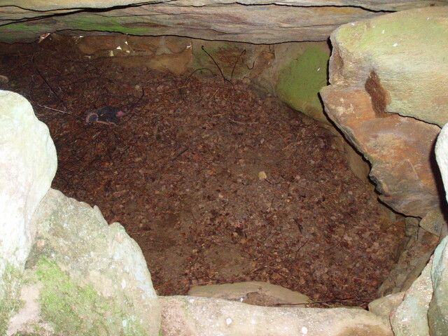 access to chamber detail showing 2 deep steps.JPG