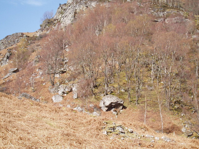 loc of shelter visible above right of house gable behind V-shaped tree.JPG