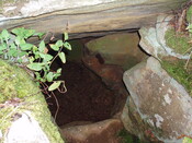Soulmarksie (NoSAS site) access to chamber detail.JPG