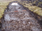 broadford 2a 007.jpg