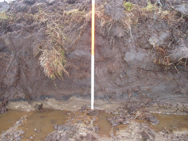 broadford 2a 013.jpg