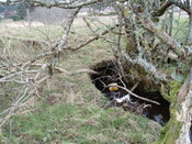 broadford day2 008.jpg