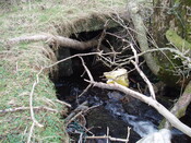 broadford day2 009.jpg