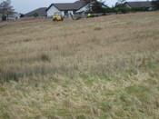 broadford day2 011.jpg