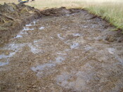 broadford day3 005.jpg