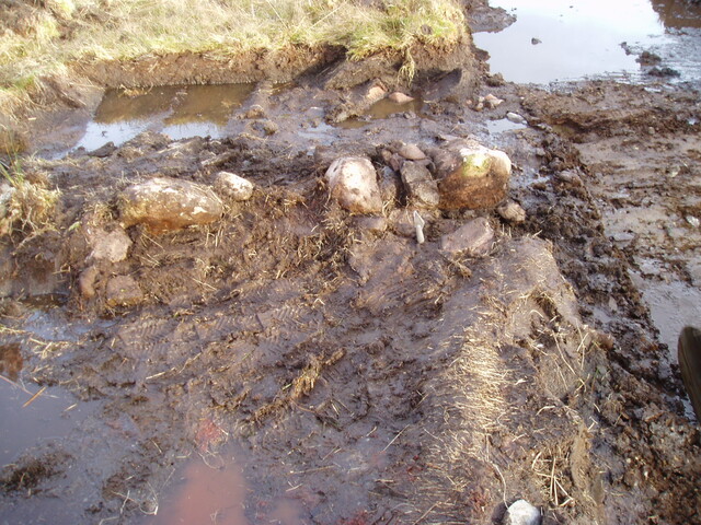 broadford day3 010.jpg
