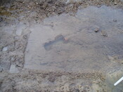 broadford day3 016.jpg