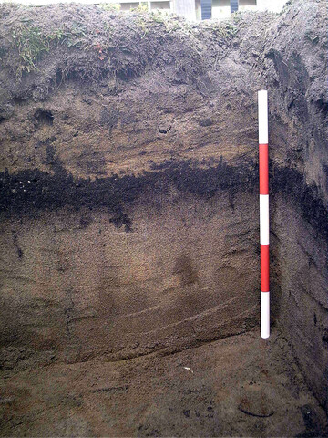 Burnside Hilton 001a.jpg