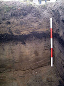 Burnside Hilton 001a.jpg