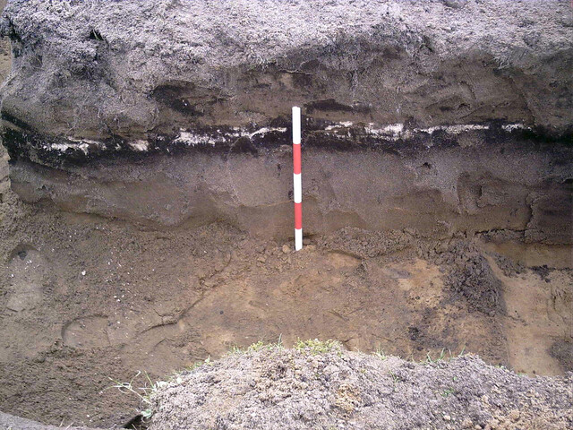 Burnside Hilton 005.jpg