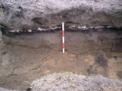 Burnside Hilton 005.jpg