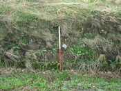 SHOT 39 - East facing elevation of Western Knockbreck House Wall.JPG