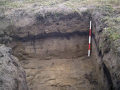 Burnside Hilton 014.jpg