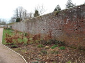 MHG15492 Walled garden interior looking at E wall.jpg