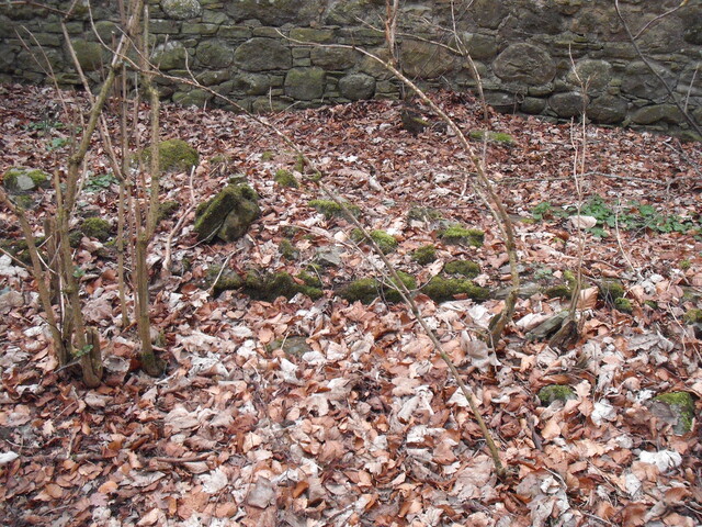 wall running parallel to walled garden.JPG