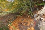 Culcairn Mill Lade.jpg