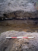 Burnside Hilton 017.jpg