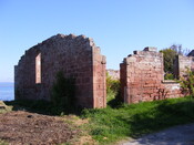 Picture 003.jpg
