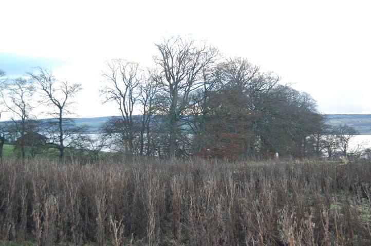 DSC_0017.JPG