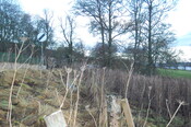 DSC_0019.JPG