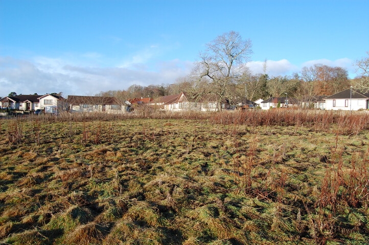 DSC_0026.JPG