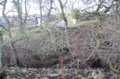 DSC_0030.JPG