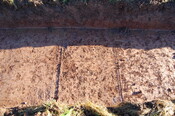 DSC_0035.JPG