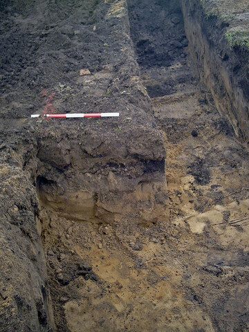 Burnside Hilton 031.jpg