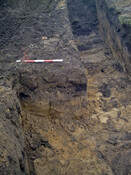 Burnside Hilton 031.jpg