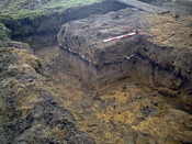 Burnside Hilton 038.JPG