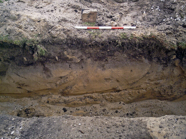 Burnside Hilton 046.jpg