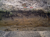 Burnside Hilton 046.jpg