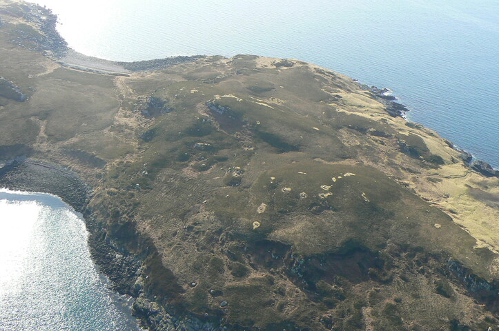 MHG21436 Longa2.JPG