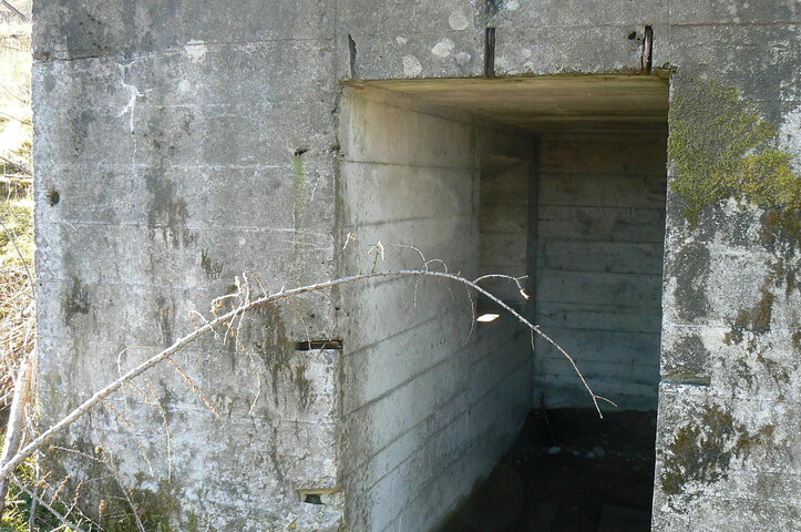 MHG30301 detail2.JPG