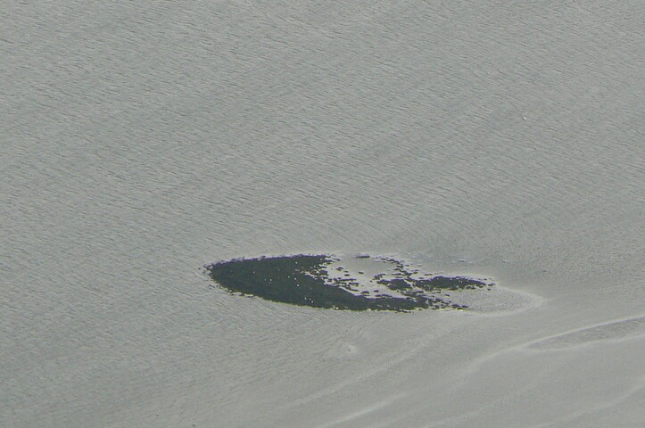 Beauly Firth crannog not identified2.JPG