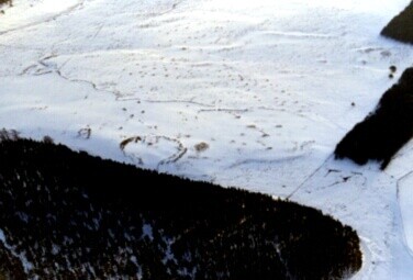 by MHG6795 enclosure at 307096 832617.jpg