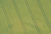 probably MHG11215.JPG