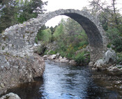 85.JPG
