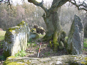 Balnaguie Chambered Cairn_5787534701_l.jpg