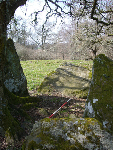 Balnaguie Chambered Cairn_5787537157_l.jpg