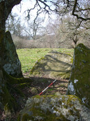 Balnaguie Chambered Cairn_5787537157_l.jpg