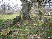 Balnaguie Chambered Cairn_5787542311_l.jpg